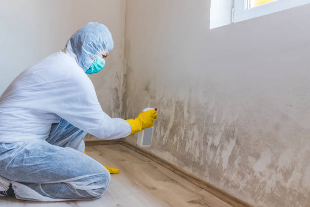 Mold Remediation specialist working in Pendleton