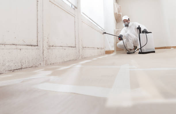 Black mold remediation team in Pendleton